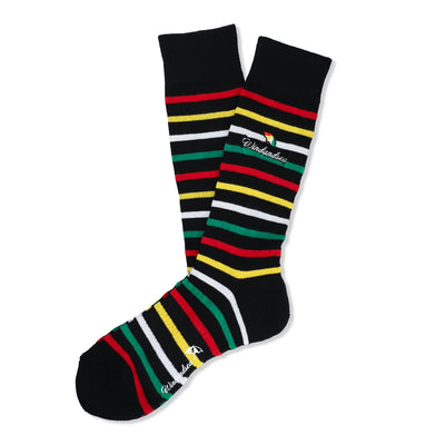 ARNOLD PALMER x WDS Multi Border Socks