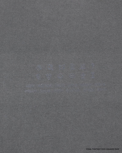 FINAL FANTASY XIV x WDS Pigment Tee＜Mythology of Eorzea＞