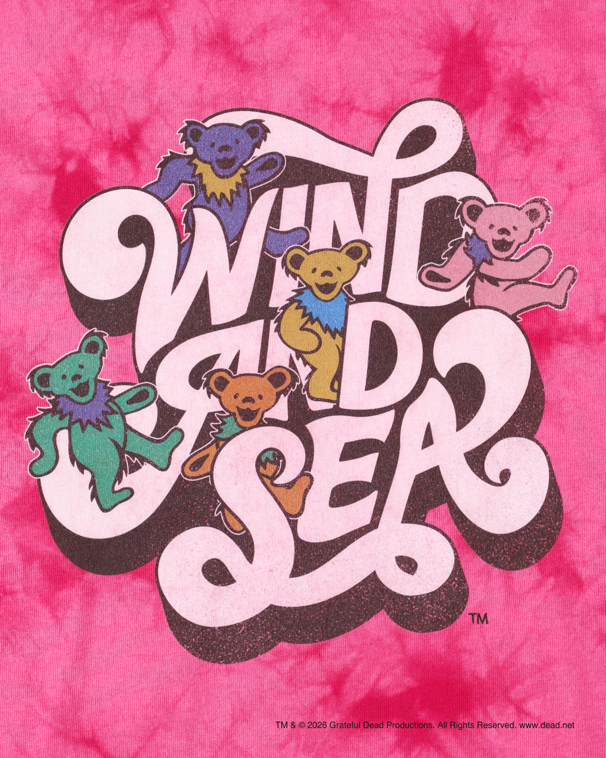 GRATEFUL DEAD x WDS Tye Dye Tee