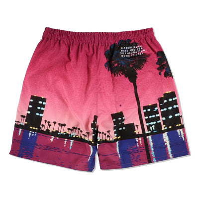 HIROSHI NAGAI x WDS SHORT PANTS