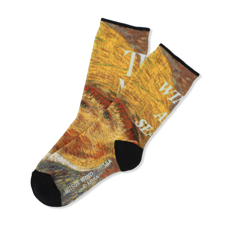 THE MET x HOT SOX x WDS Art Print Socks / SELF_PORTRAIT