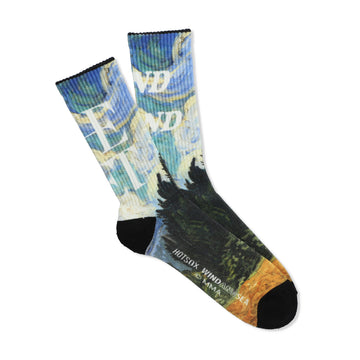 THE MET x HOT SOX x WDS Art Print Socks / WHEET_FIELD