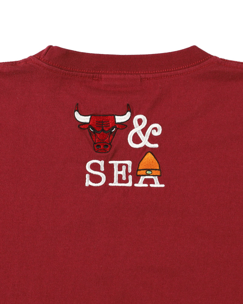 PARAPPA x BULLS L/S TEE