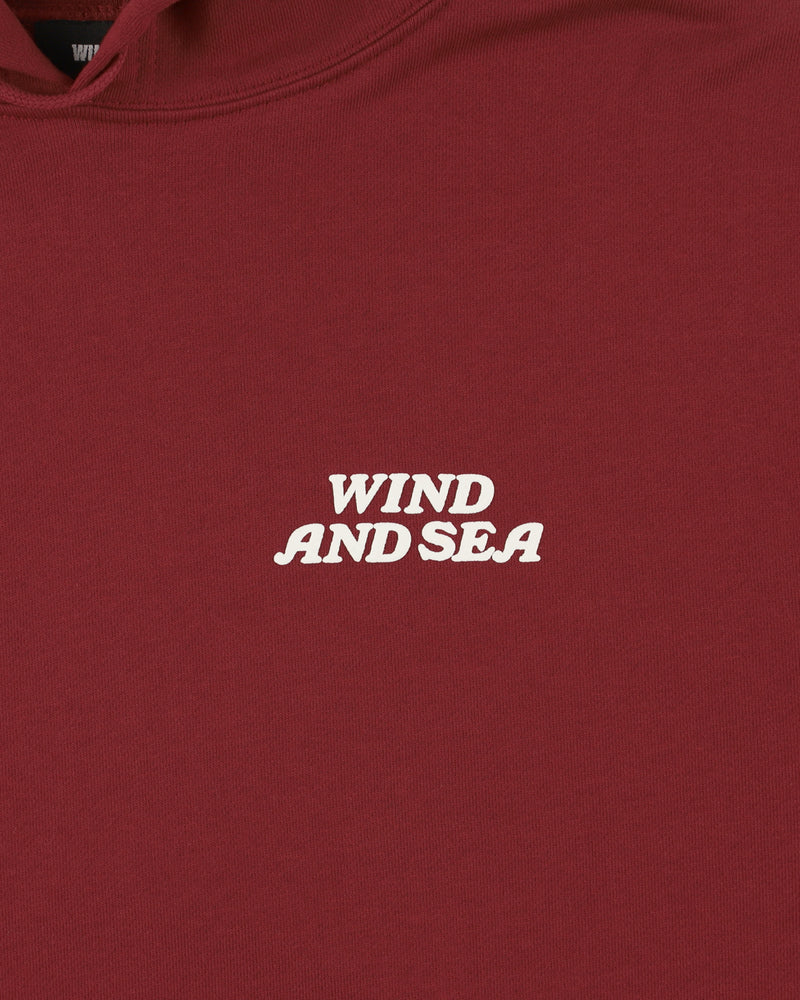 NORMAN ROCKWELL x WDS HOODIE