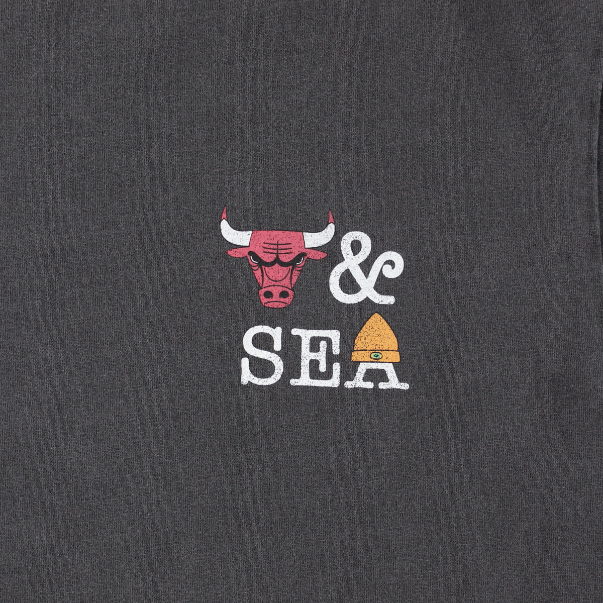 NBA CHAMPIONS x PARAPPA THE RAPPER x WDS BULLS TEE