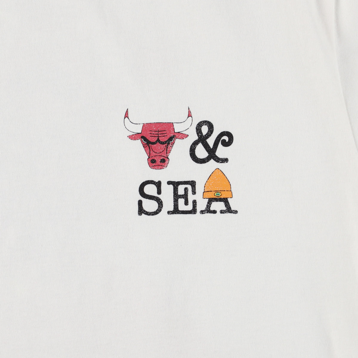 NBA CHAMPIONS x PARAPPA THE RAPPER x WDS BULLS TEE