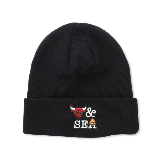 NBA CHAMPIONS x PARAPPA THE RAPPER x WDS KNIT CAP BULLS