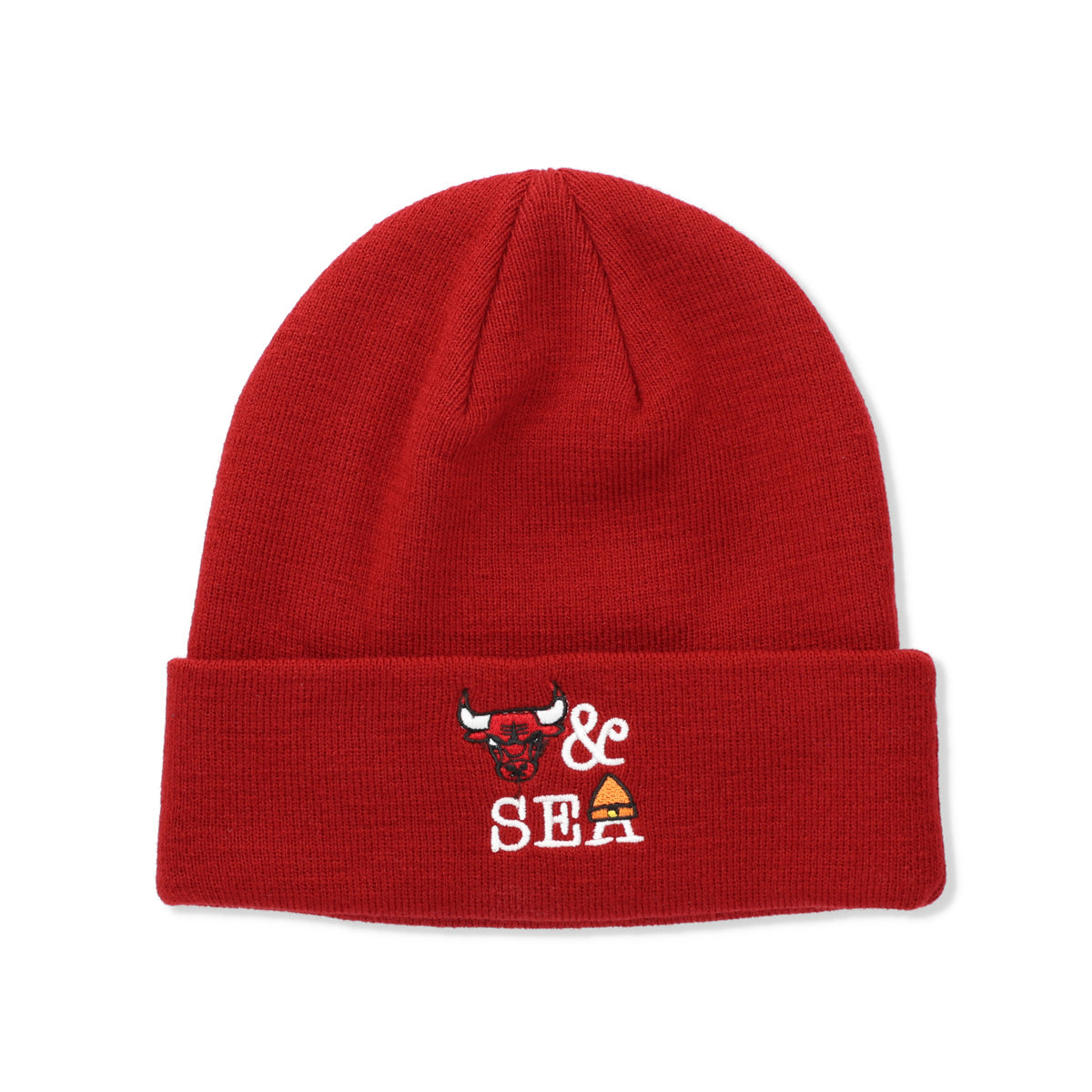 NBA CHAMPIONS x PARAPPA THE RAPPER x WDS KNIT CAP BULLS