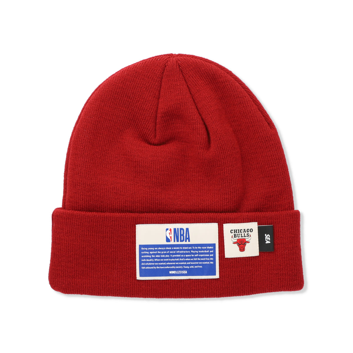 NBA CHAMPIONS x PARAPPA THE RAPPER x WDS KNIT CAP BULLS