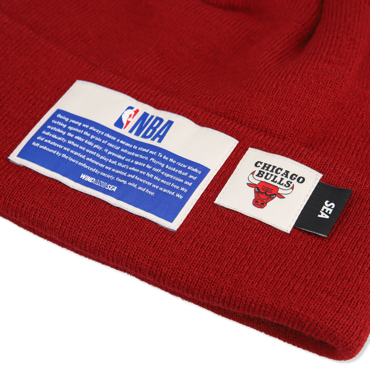 NBA CHAMPIONS x PARAPPA THE RAPPER x WDS KNIT CAP BULLS