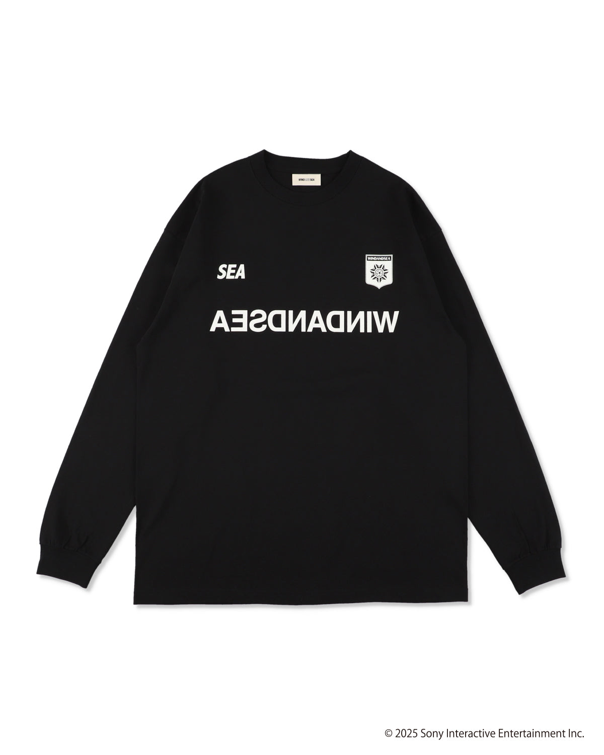 PLAYSTATION x WDS L/S TEE