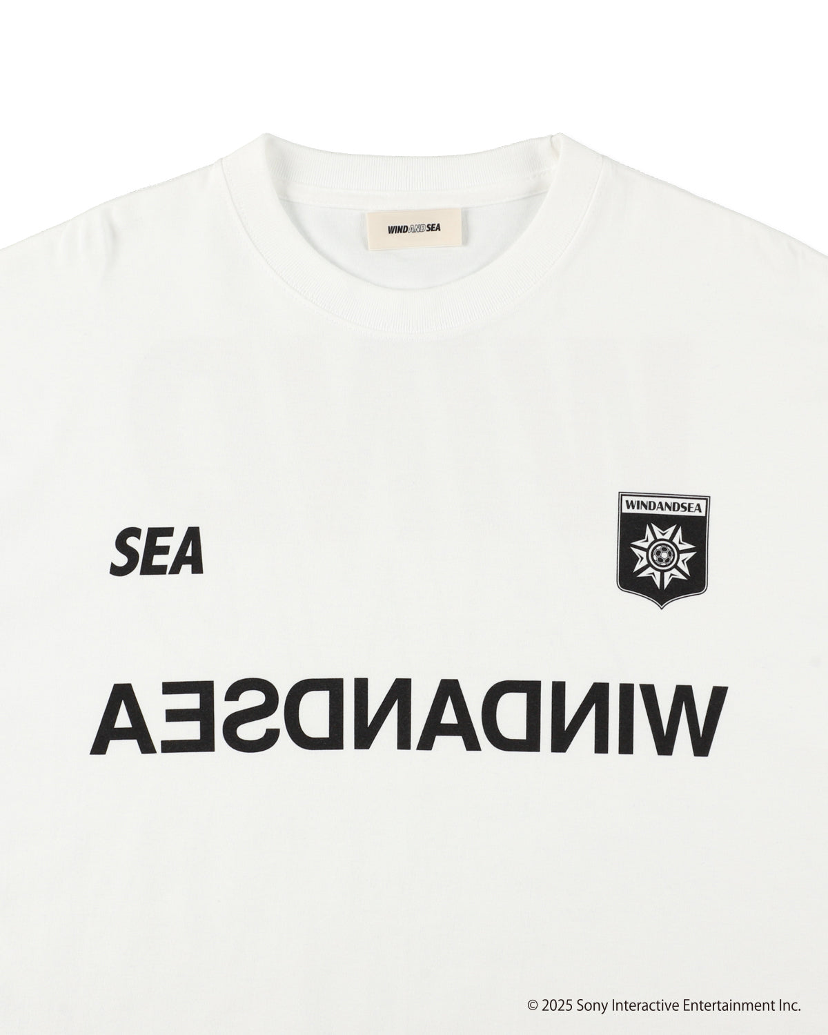 PLAYSTATION x WDS L/S TEE