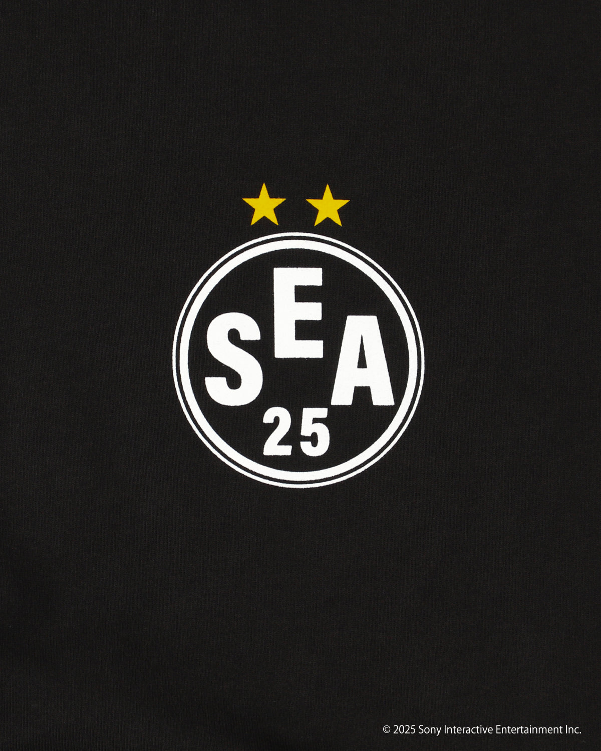 PLAYSTATION x WDS TEAM ZIP HOODIE