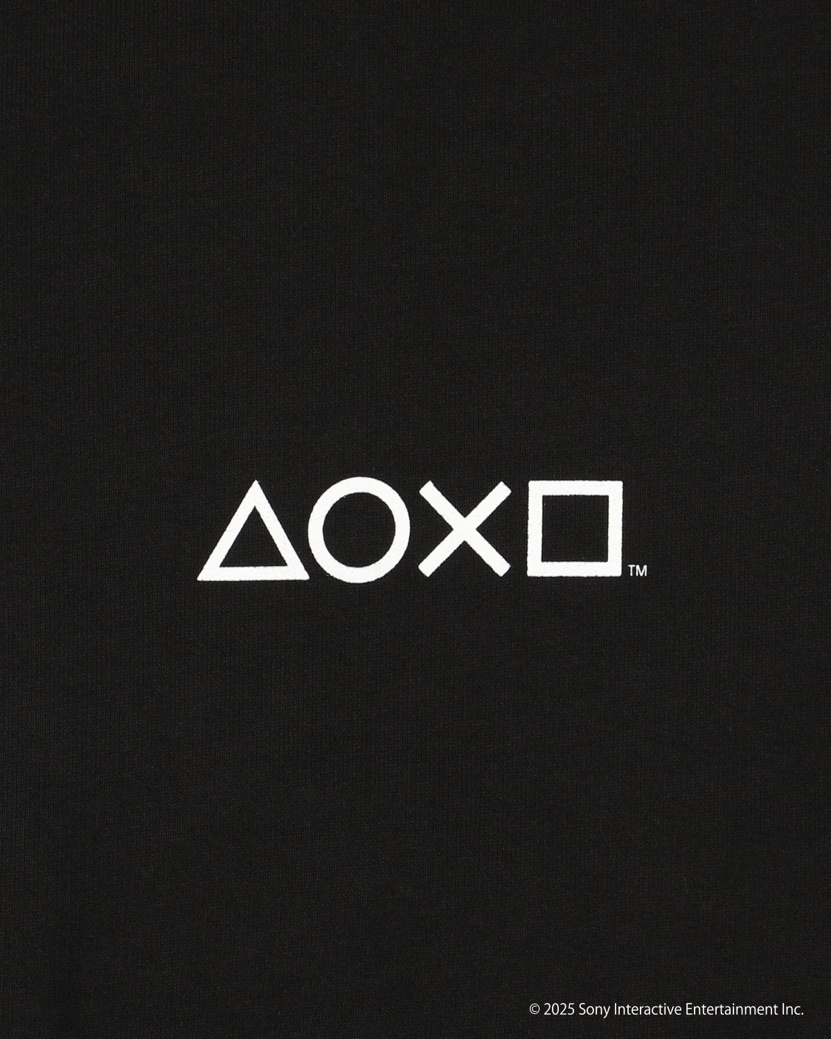 PLAYSTATION x WDS TEAM ZIP HOODIE