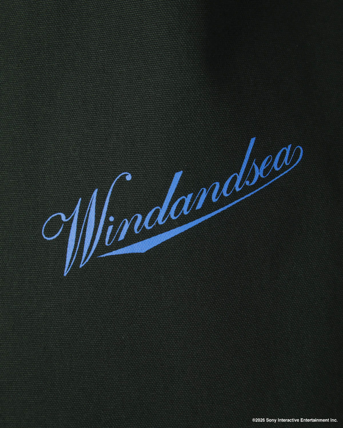 PLAYSTATION x WDS TOTE BAG