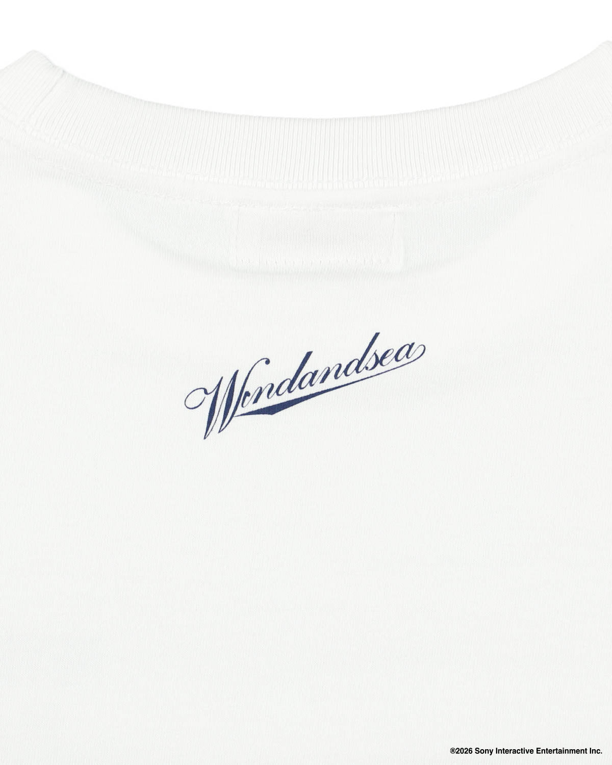 PLAYSTATION x WDS L/S TEE