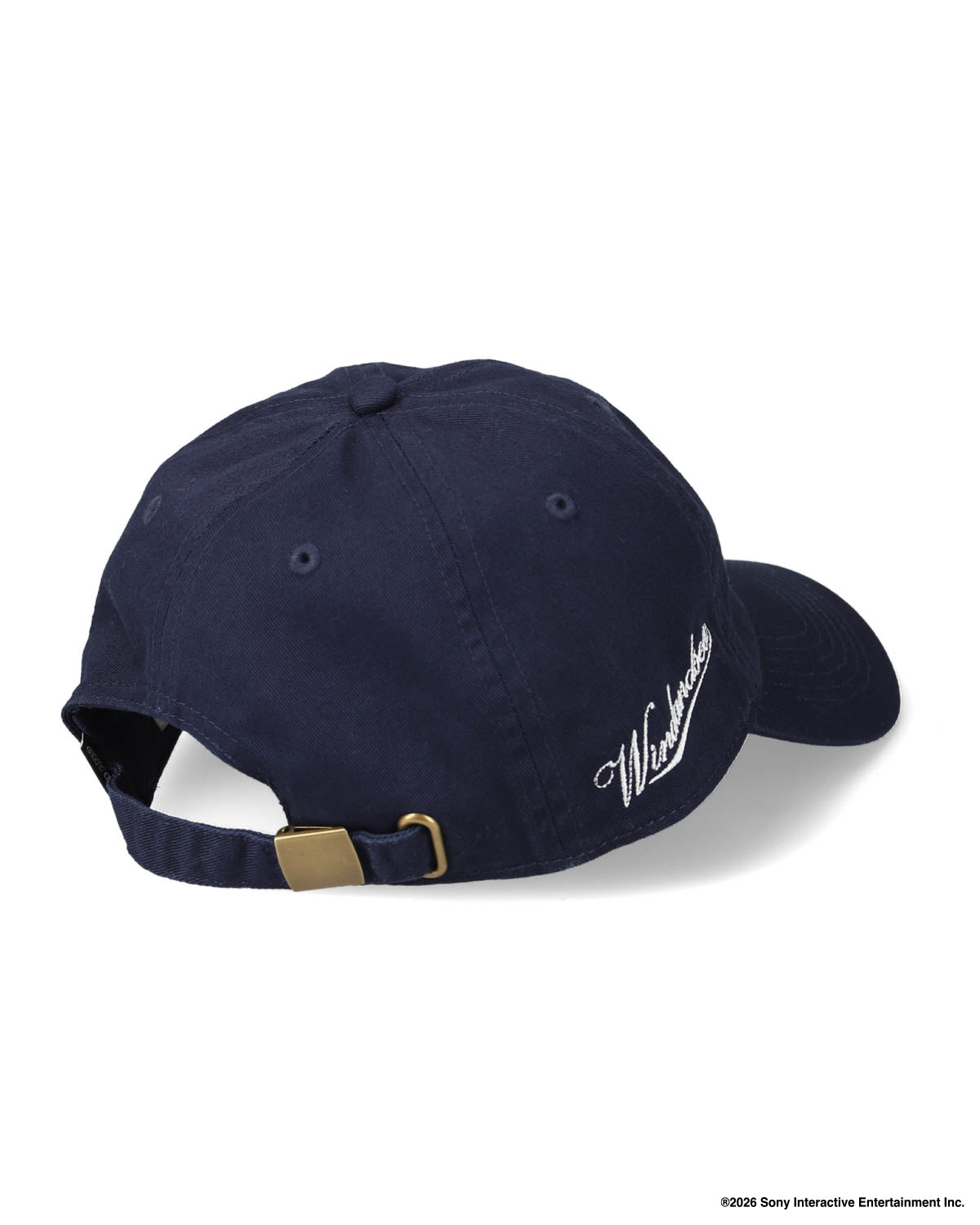 PLAYSTATION x WDS CAP