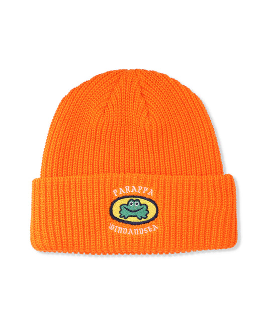 PARAPPA THE RAPPER x WDS Knit Cap