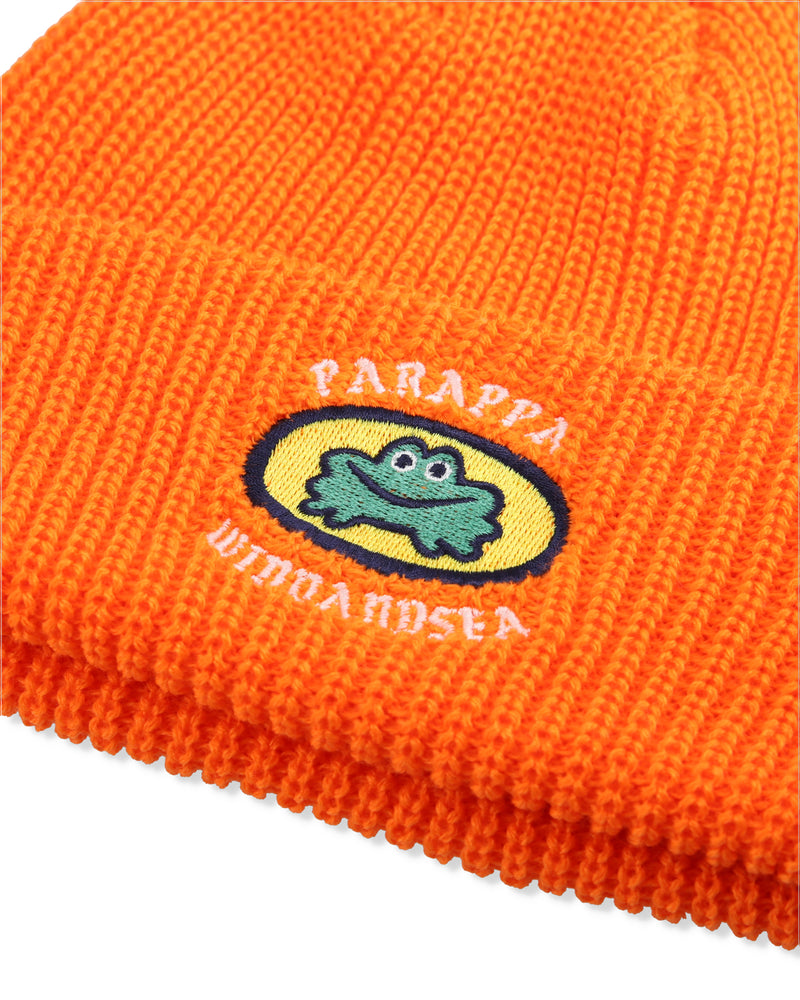 PARAPPA THE RAPPER x WDS Knit Cap