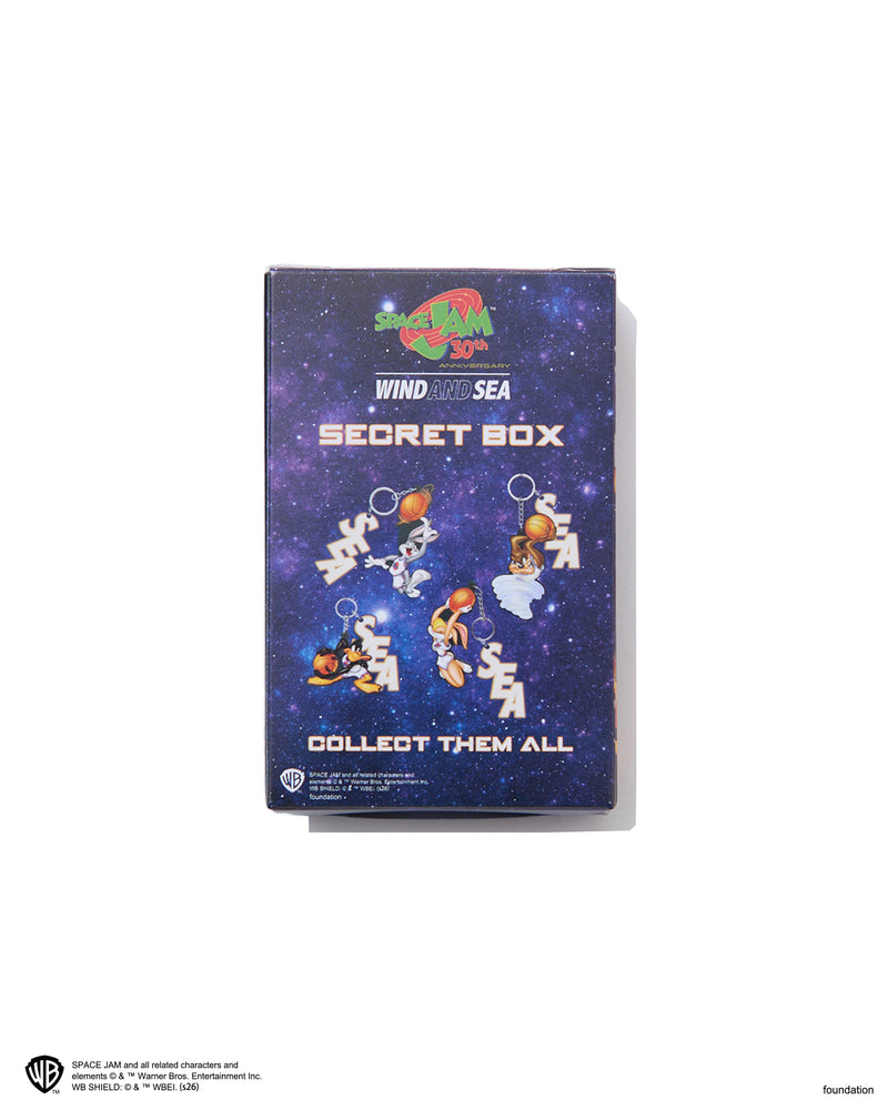 SPACE JAM x WDS KEY HOLDER