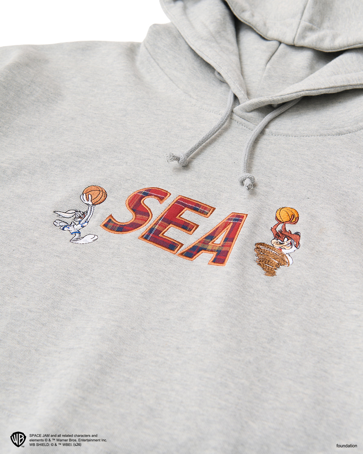 SPACE JAM x WDS HOODIE