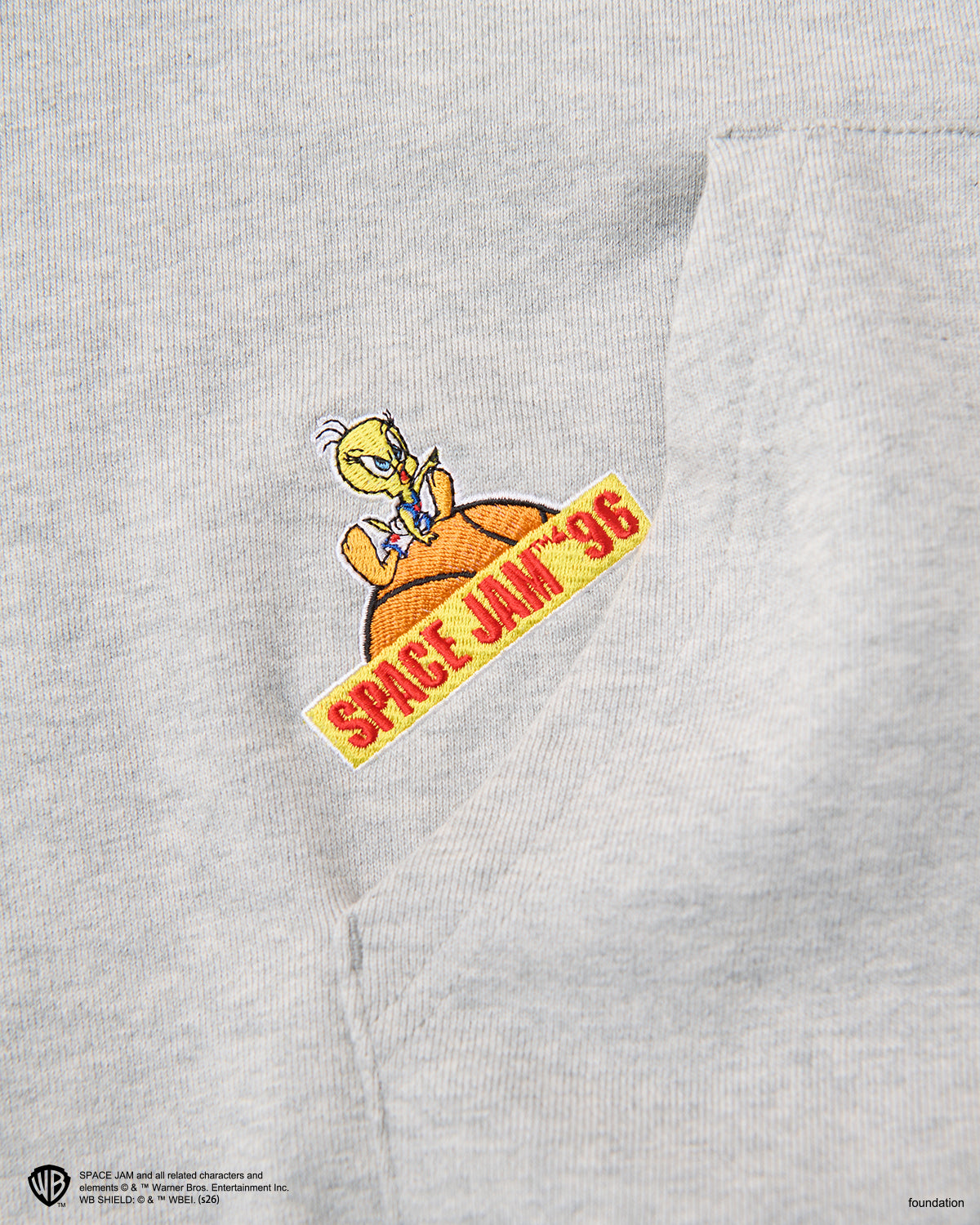 SPACE JAM x WDS HOODIE