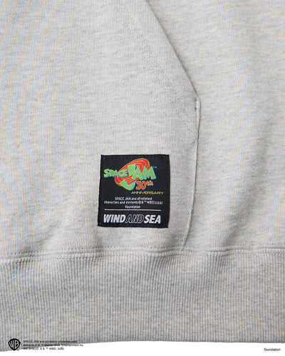 SPACE JAM x WDS HOODIE