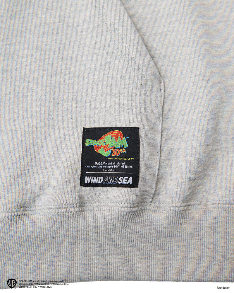 SPACE JAM x WDS HOODIE