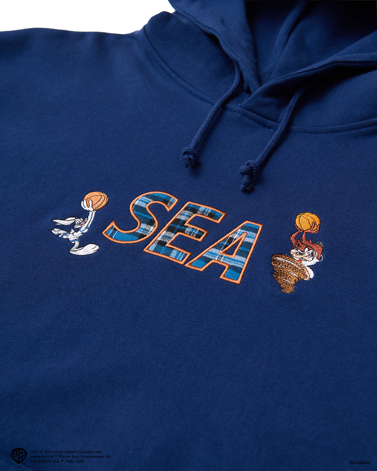 SPACE JAM x WDS HOODIE