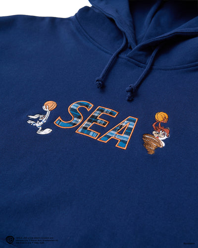 SPACE JAM x WDS HOODIE