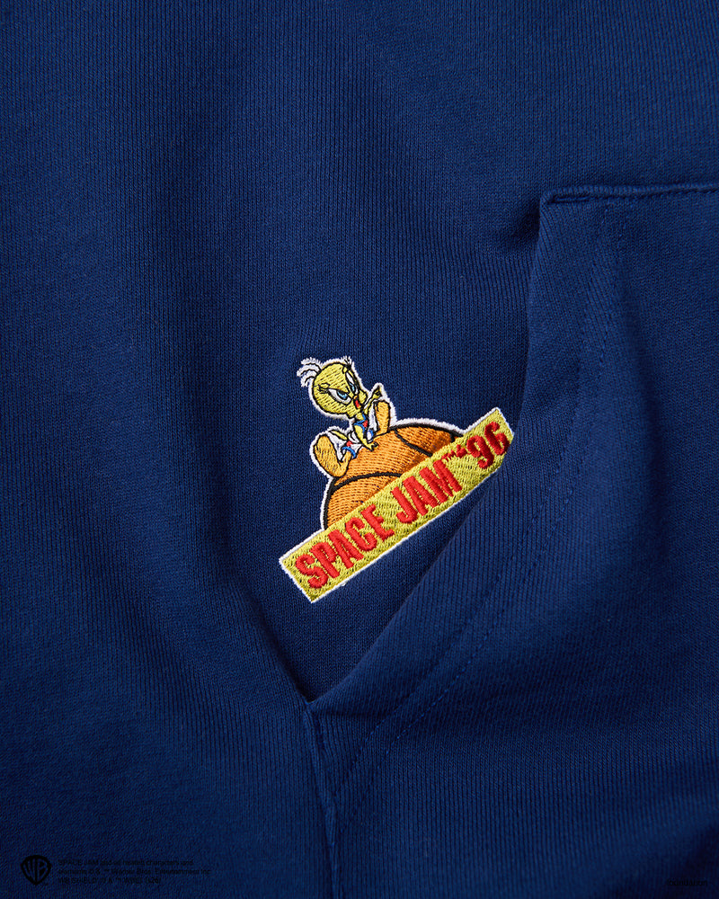 SPACE JAM x WDS HOODIE