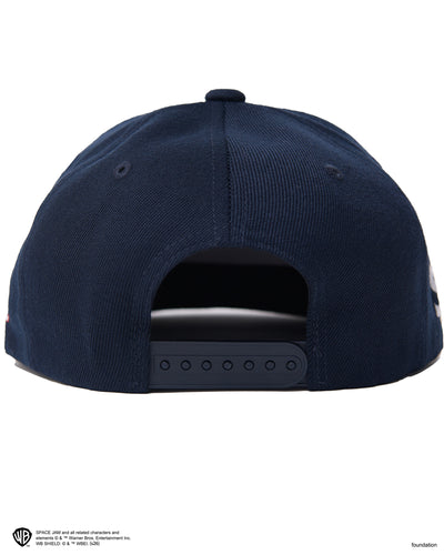 SPACE JAM x WDS CAP