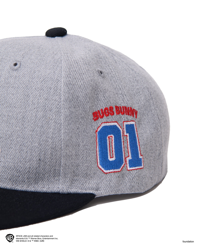 SPACE JAM x WDS CAP