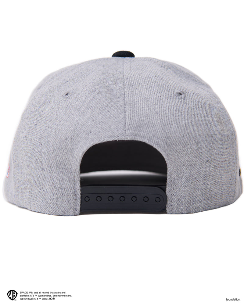 SPACE JAM x WDS CAP
