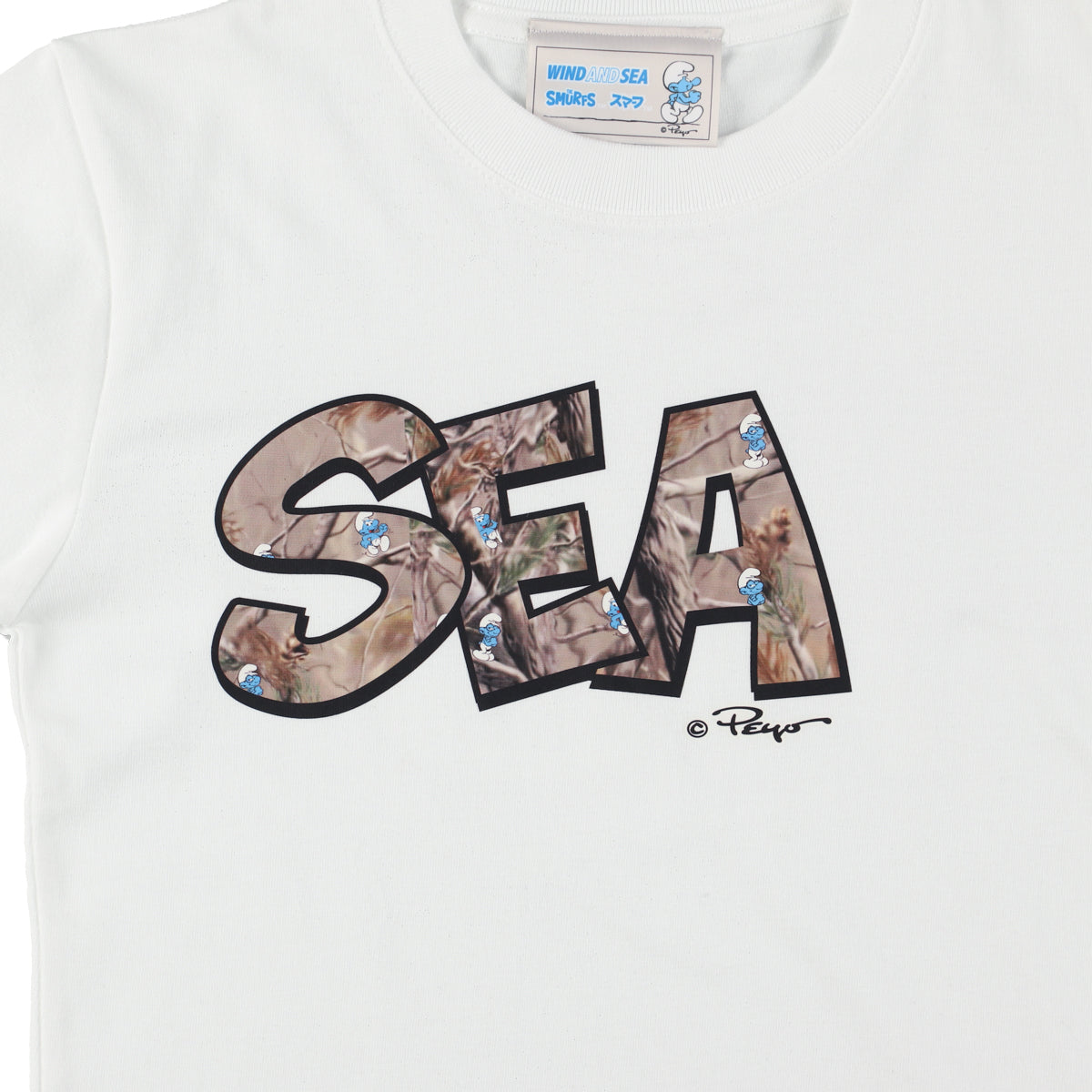 Smurf x WDS S/S Tee (wind and smurf) Child