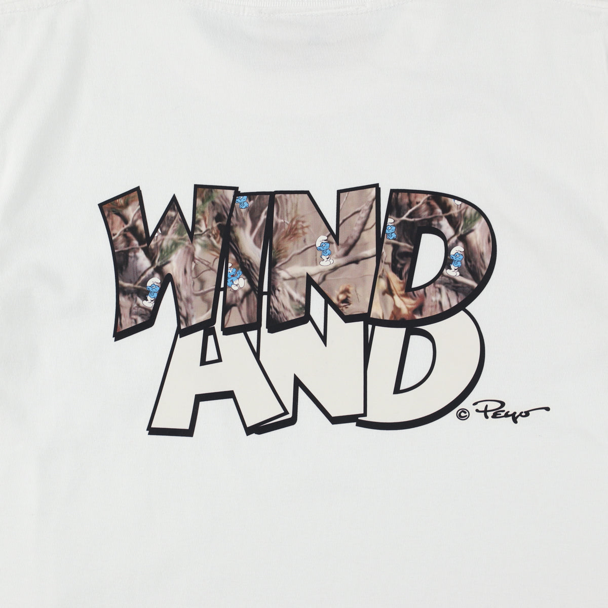 Smurf x WDS S/S Tee (wind and smurf) Child