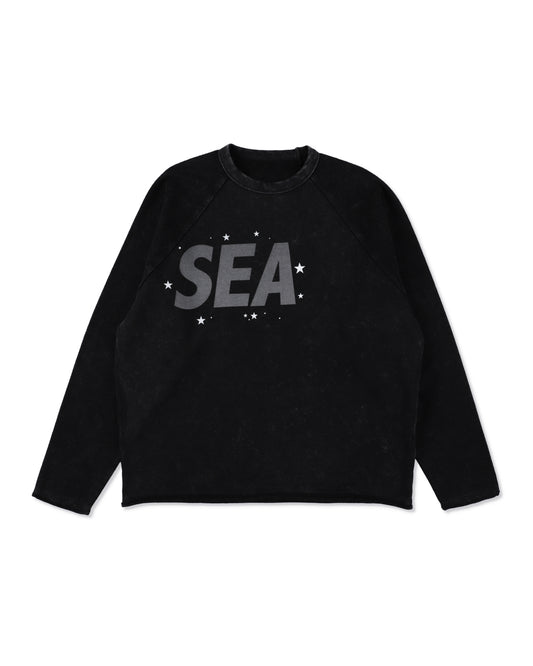SMOOTHY x WDS FANTASIA RAGLAN TEE