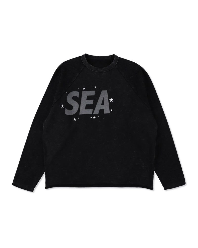 SMOOTHY x WDS FANTASIA RAGLAN TEE