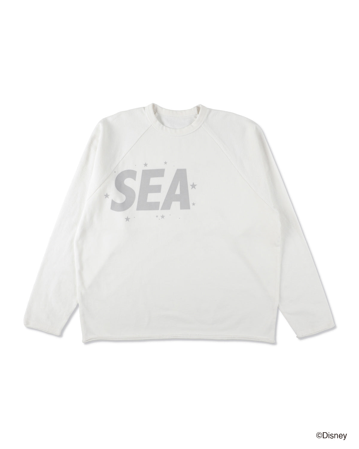 SMOOTHY x WDS FANTASIA RAGLAN TEE