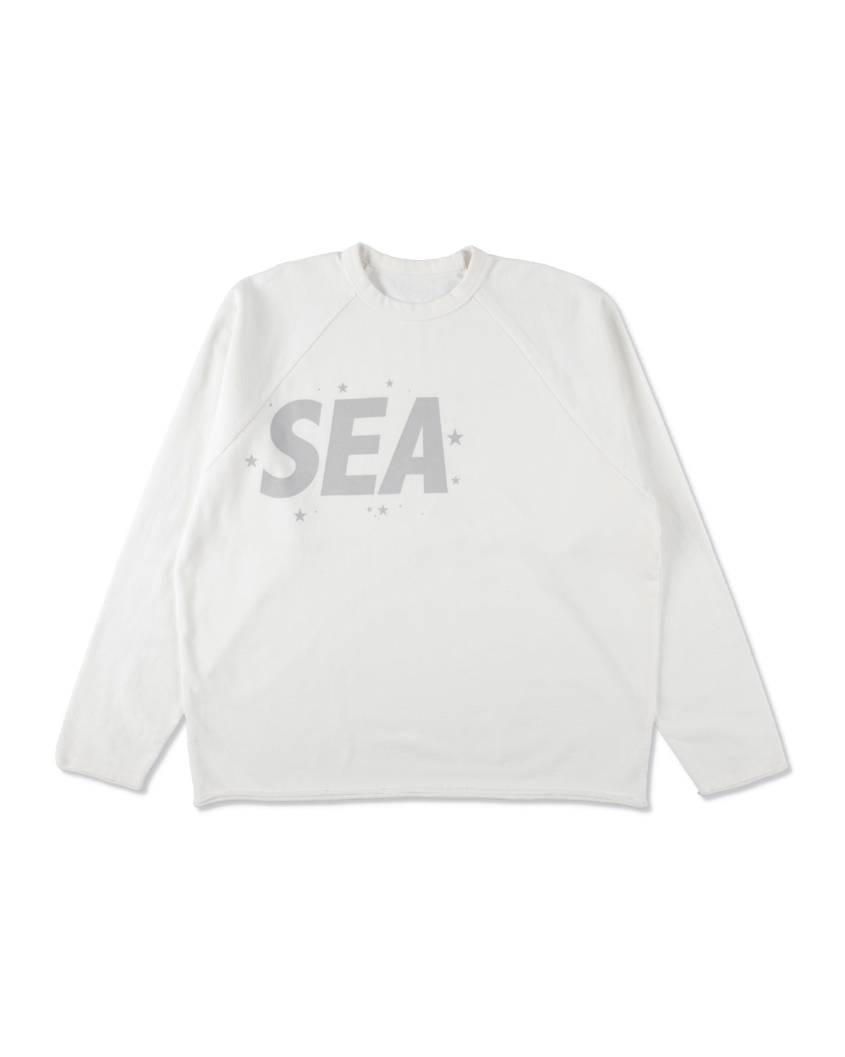 SMOOTHY x WDS FANTASIA RAGLAN TEE