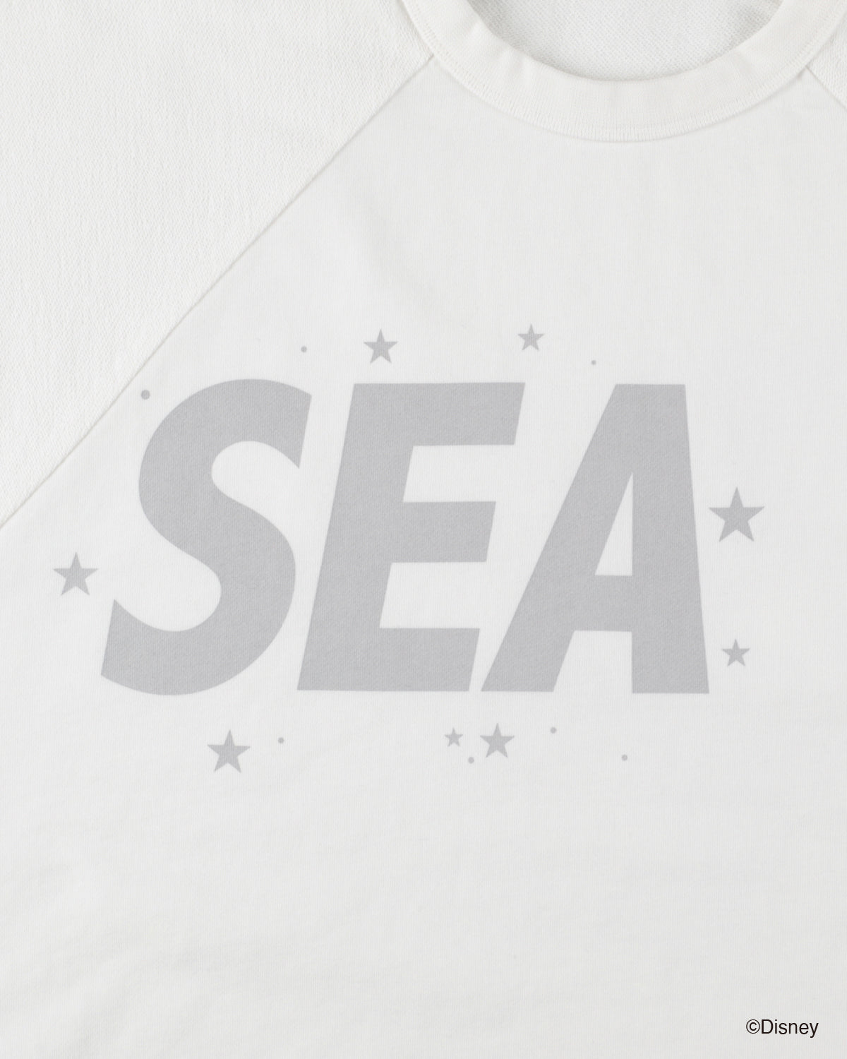 SMOOTHY x WDS FANTASIA RAGLAN TEE