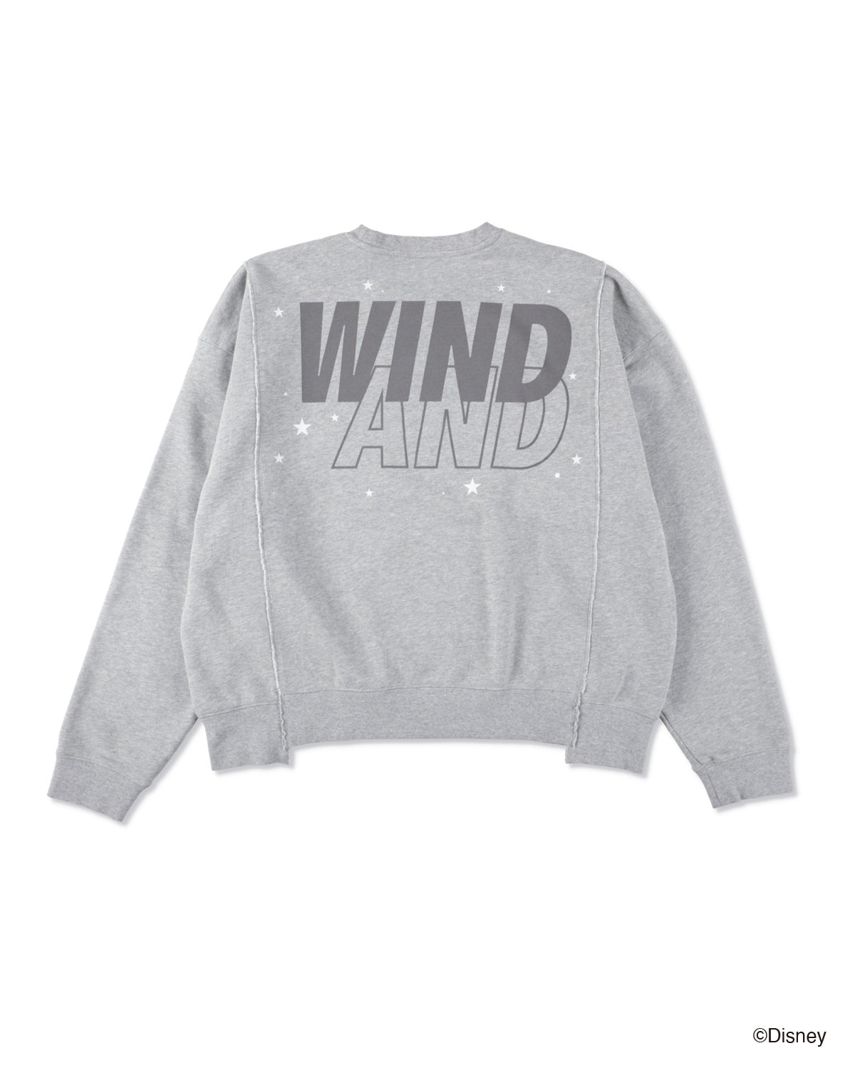 SMOOTHY x WDS FANTASIA CREWNECK SWEAT