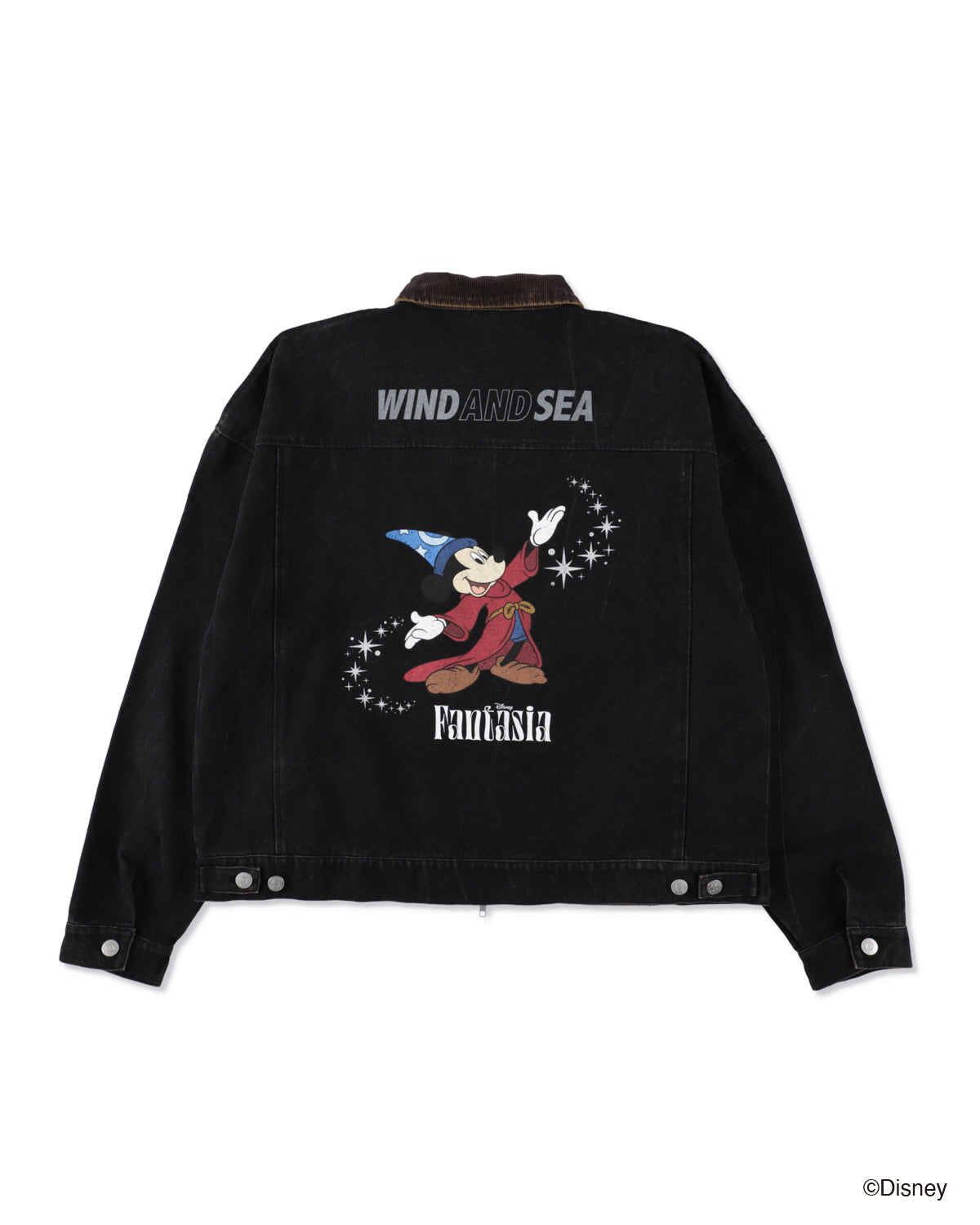 SMOOTHY x WDS FANTASIA DUCK JACKET