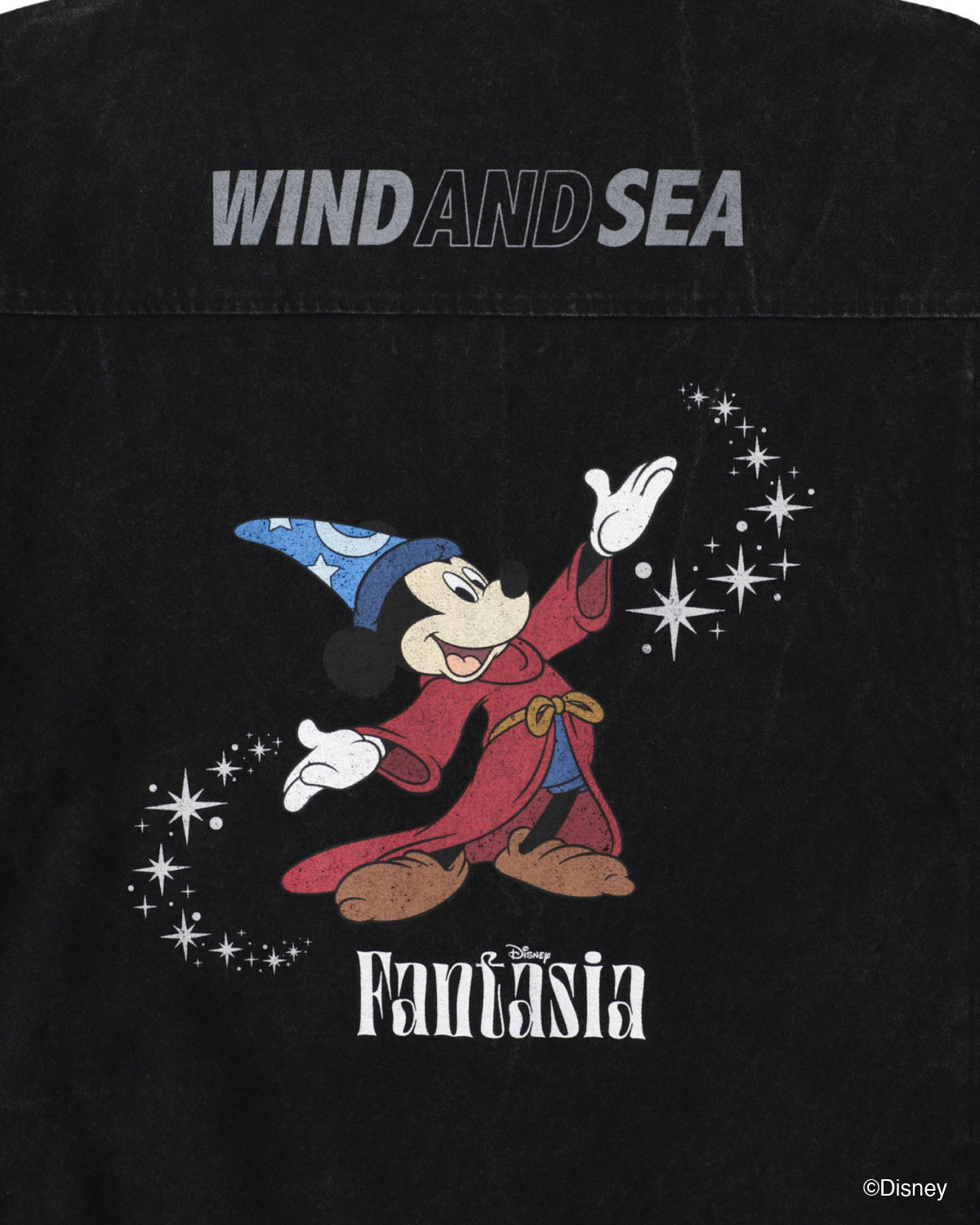 SMOOTHY x WDS FANTASIA DUCK JACKET