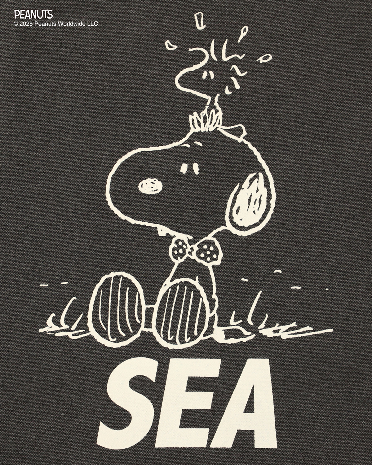 SMOOTHY x WDS Snoopy Pigment Tote Bag