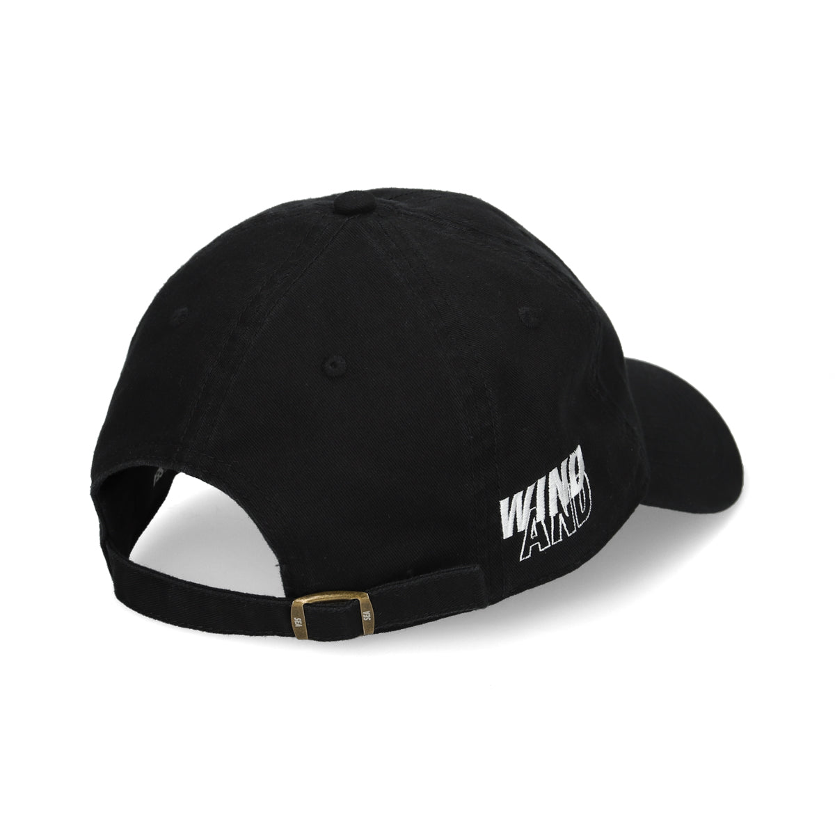 SN x WDS CAP