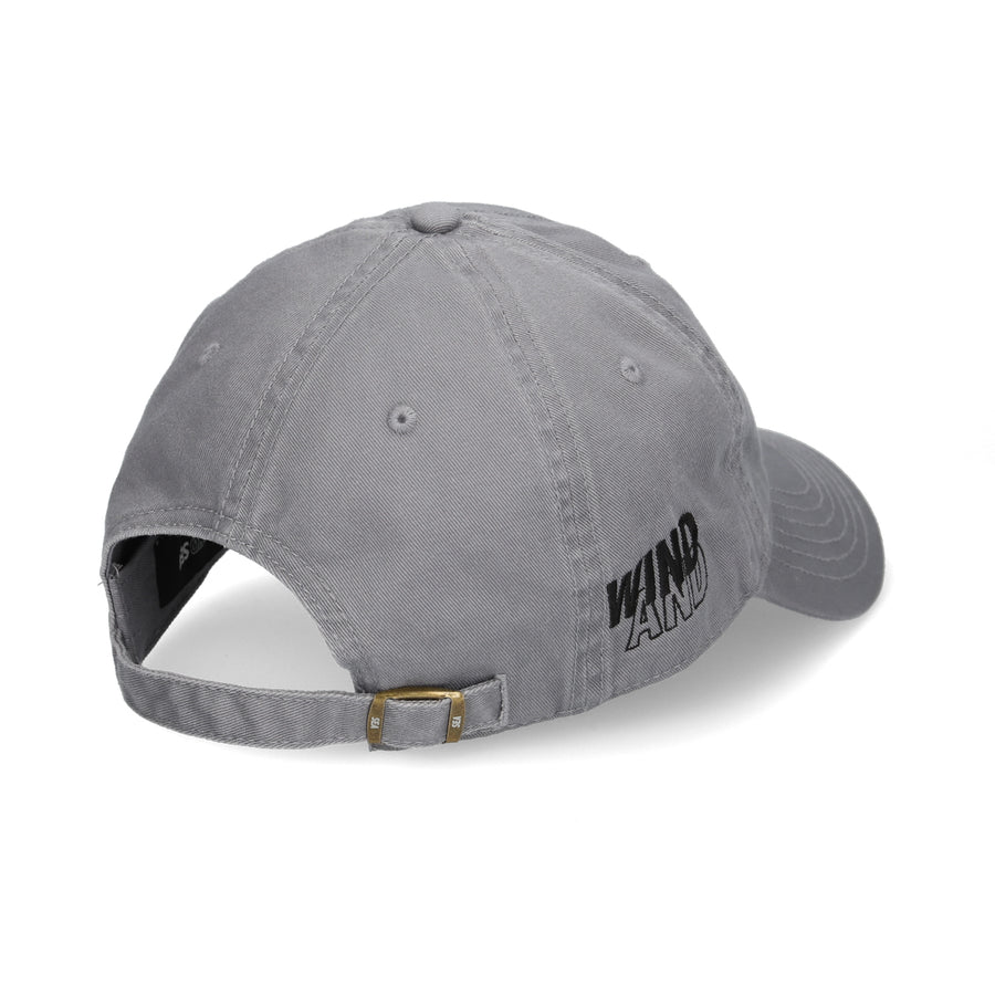 SN x WDS CAP / GRAY