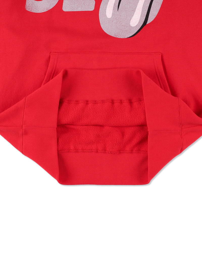 THE ROLLING STONES x WDS HOODIE