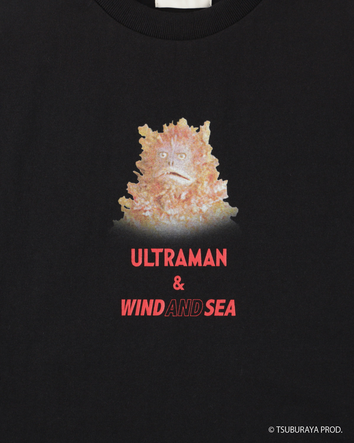 PIGMON L/S TEE