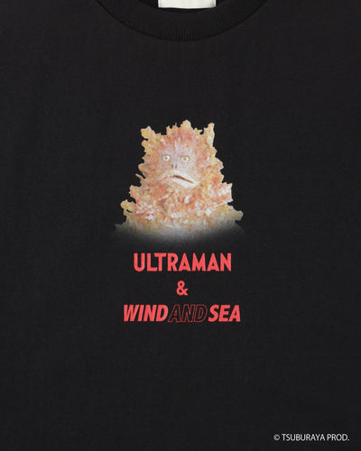 PIGMON L/S TEE